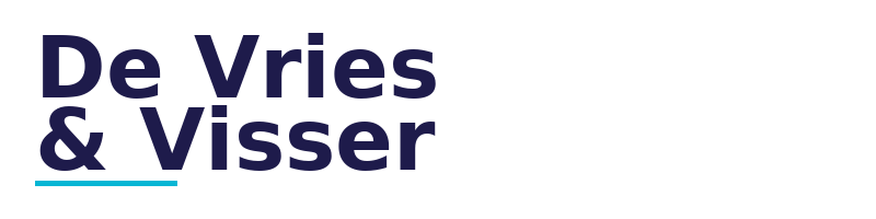 De Vries & Visser logo